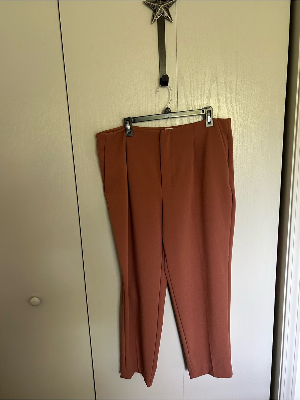a new day Rust-Colored Women’s Dress Pants